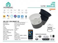 HSL-037-12W-3C-TUYA