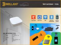 BML-WIFI-GATEWAY-TUYA 