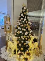 Malton Sales Gallery Xmas 2025