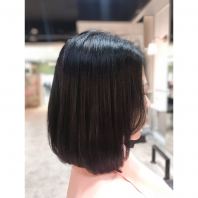 Cut and Rebond Cut and Rebond