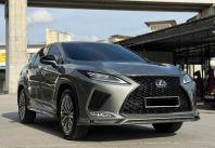 2021 Lexus RX300 2.0 Luxury