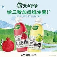 Ԫ��ɭ����ɽүү��֭TIANSHANYEYE JUICE 400ML[15BTL/CTN]