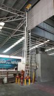 Galvanizing Monkey Ladder To The Roof Top