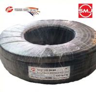 Yogawa 30/0.25mm x 2 Core Tinned PVC/PVC Braided Screen Cable (Black)