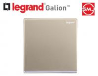 Legrand GA22017CH/ GA22017CHMY Galion Up 1 Gang 2 Way Switch (Champagne)