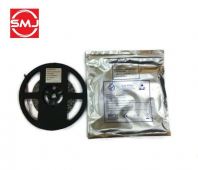 ES2-LS5050-60/DC12V LED Strip/ LED Strip Light (Blue)