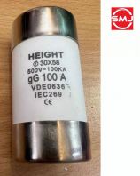 Height 30 x 58 100A HRC Fuse Link/ Electric Fuse/ Ceramic Cartridge Fuse/ Ceramic Fuse/ HRC Fuse/ Cylindrical Fuse Link