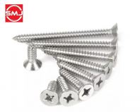 Toyo #6 x 2" Stainless Steel CSK Flat Head Self Tapping Screw