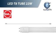 Iwachi T8 4ft 22W 6500k LED Tube (Cool Daylight)