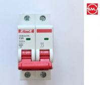 Himel 20A 2 Pole MCB