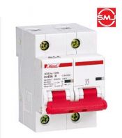 Himel 63A 2 Pole MCB