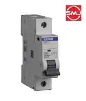 Sassin 20A 1 Pole MCB