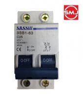 Sassin 25A 2 Pole MCB