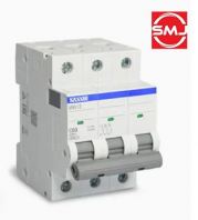 Sassin 63A 3 Pole MCB