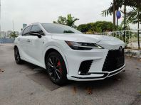 2024 LEXUS RX350 F SPORT (6104)
