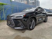 2023 LEXUS NX250 VERSION L (0120)