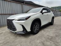 2023 LEXUS NX250 VERSION L (2757)