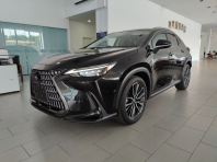 2023 LEXUS NX250 VERSION L (LUXURY) (3752)