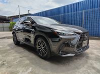 2023 LEXUS NX250 VERSION L (LUXURY) (2172)