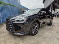2023 LEXUS NX250 BASE (1084)