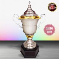 ws6122 - EXCLUSIVE WHITE SILVER TROPHY ws6122 - EXCLUSIVE WHITE SILVER TROPHY