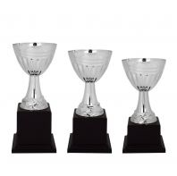 4122 - METAL BOWL TROPHY 4122 - METAL BOWL TROPHY