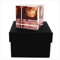 8133 - CYSTAL PAPER WEIGHT 8133 - CYSTAL PAPER WEIGHT