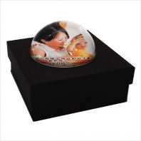 8154 - CYSTAL PAPER WEIGHT 8154 - CYSTAL PAPER WEIGHT