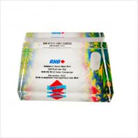 8210 - CYSTAL PAPER WEIGHT 8210 - CYSTAL PAPER WEIGHT