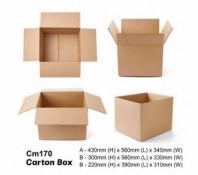 CM 170 - CARTON BOX