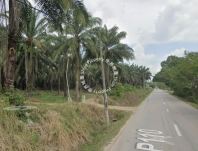 [FOR SALE] Agricultural Land At Tasek Gelugor, Tasek Gelugor
