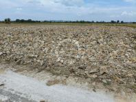 [FOR SALE] Agricultural Land At Kampung Pantai Kemelun, Kepala Batas