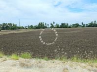 [FOR SALE] Agricultural Land At Teluk Air Tawar, Teluk Air Tawar