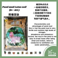 Tanah Lumpur Kolam Bunga Teratai (6+-KG)