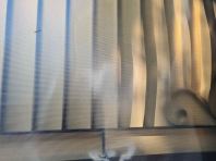 Automatic Smoke Curtain