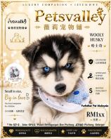 Wooly Husky 哈士奇 Wooly Husky 哈士奇