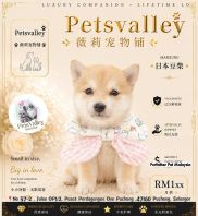 Shiba Inu 柴犬 Shiba Inu 柴犬