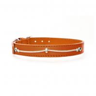 Classic Collar in Tan