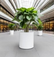 Best Fiberglass Flower Pot Manufacturers in Malaysia  Custom Designs Ѳֻ Pengeluar Periuk Bunga Gentian Kaca Terbaik di Malaysia