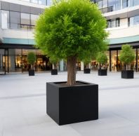 Fiberglass Garden Planter Suppliers Malaysia - Hotel & Landscaping Grade ǲֻ蹩Ӧ Pembekal Penanam Taman Gentian Kaca Malaysia