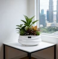 Ceramic Flowerpot Wholesale Kuala Lumpur Malaysia PC1247-18542-MW ��¡���մɻ������� Borong Pasu Bunga Seramik Phalaenopsis Kuala Lumpur