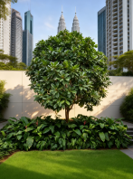 Garden Landscape Maintenance Kuala Lumpur ��¡�»�԰����ά�� Penyelenggaraan Landskap Taman Kuala Lumpur