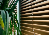 Venetian Blinds