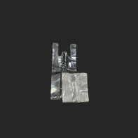 Transparent Singlet Bag