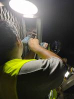 Electrical & Wiring Works