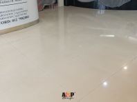 Tiles Polish