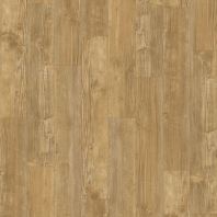 MSS 6023 | Auckland Oak