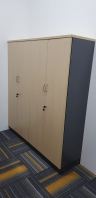 Filing Cabinet @ Temasya Glenmarie Shah Alam