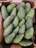 Thai Green mango Thai Green mango