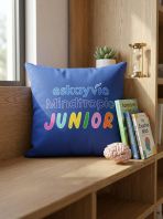 ��Ʒ��������ͷ   ����͸�����幤ѧ������  ���ʼ�����Ƶ�˯����ͷ